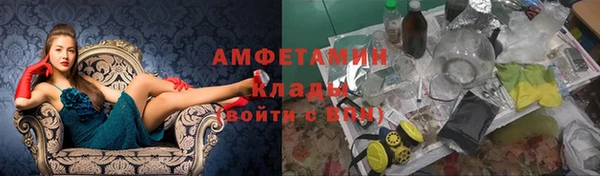 сатива Каменск-Шахтинский