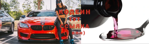 гашик Каменка