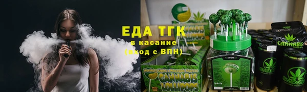 гашик Каменка