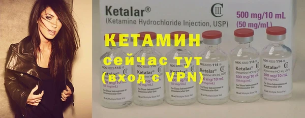 гашик Каменка