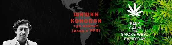 гашик Каменка