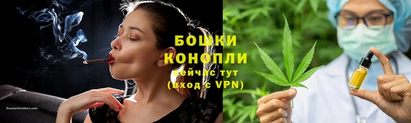 метадон Каменногорск