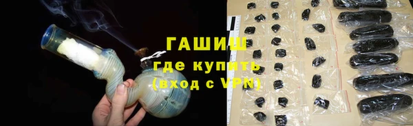 гашик Каменка