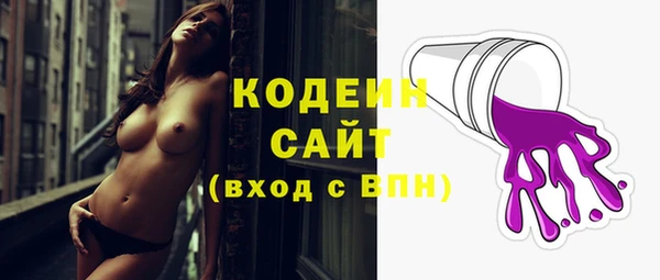 гашик Карпинск