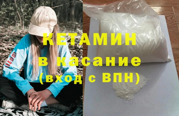 гашик Каменка