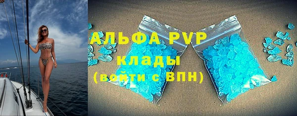 сатива Каменск-Шахтинский