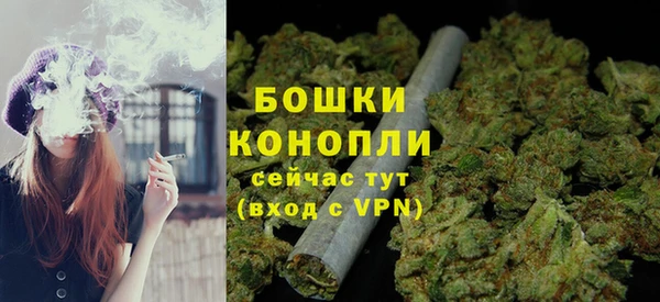 гашик Каменка