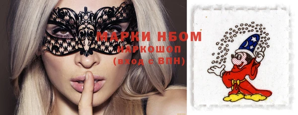 гашик Каменка