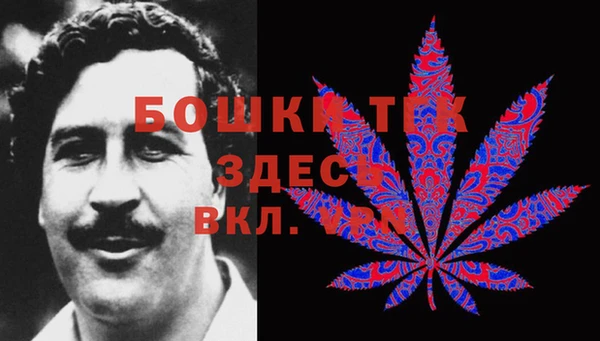 сатива Каменск-Шахтинский