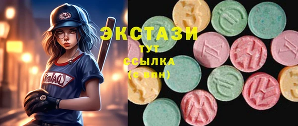 гашик Каменка