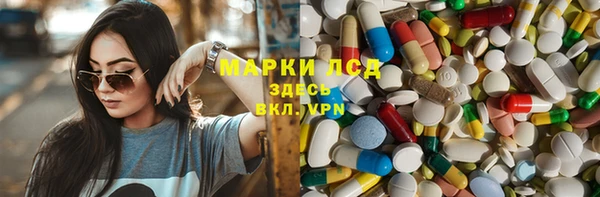 гашик Каменка