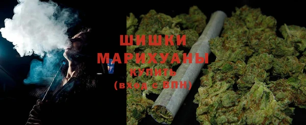 гашик Каменка