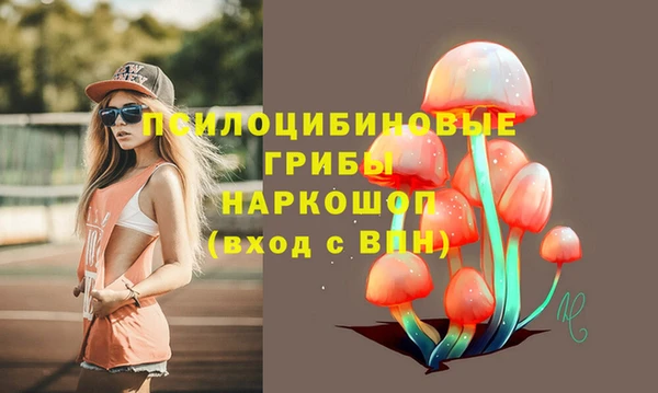 метадон Каменногорск