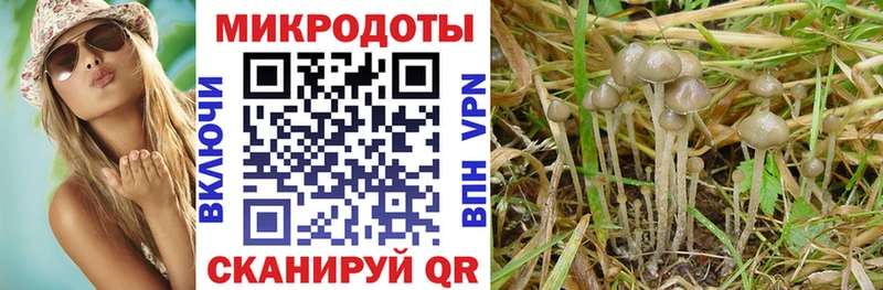 Купить закладки  Горняк  Псилоцибиновые грибы MAGIC MUSHROOMS 